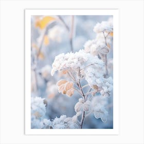 Frosty Botanical Lantana 1 Art Print