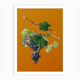 Vintage Grape from Ischia Botanical on Sunset Orange n.0628 Art Print