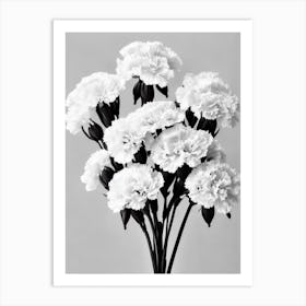 Carnations B&W Pencil 7 Flower Art Print