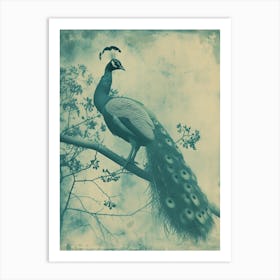 Vintage Blue Tones Peacock Photograph Inspired 3 Art Print