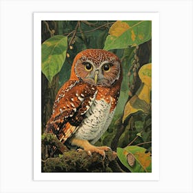 Northern Pygmy Owl Relief Illustration 3 Art Print