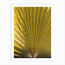 Palm Leaf 2 Art Print