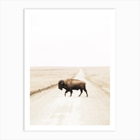 Bison Crossing Road Art Print