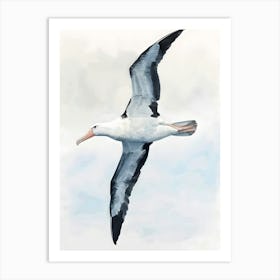 Bird In Flight Colorful Illustration Art Print