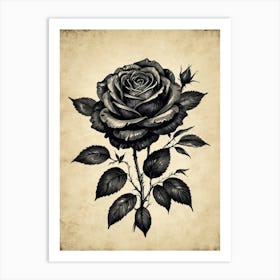 Black Rose Art Print