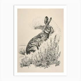 Polish Rex Rabbit Drawing 2 Art Print