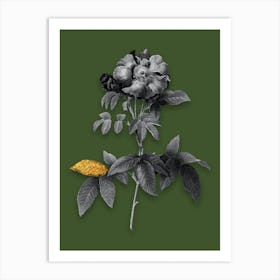 Vintage Provins Rose Black and White Gold Leaf Floral Art on Olive Green n.0951 Art Print