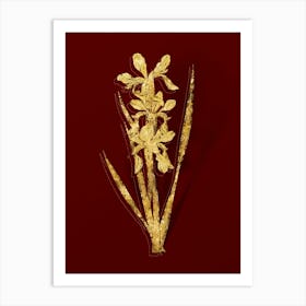 Vintage Yellow Banded Iris Botanical in Gold on Red n.0061 Art Print