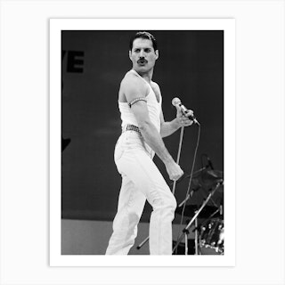 Freddie Mercury Art Print
