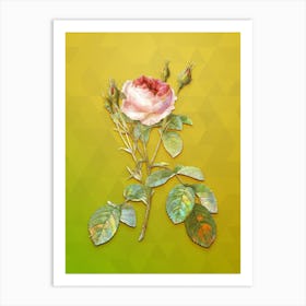 Vintage Double Moss Rose Botanical Art on Empire Yellow n.0636 Art Print