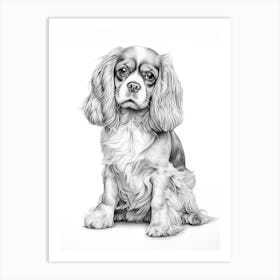 Cavalier King Charles Spaniel Dog, Line Drawing 3 Art Print