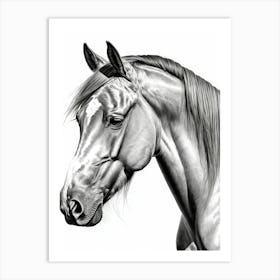 Highly Detailed Pencil Sketch Portrait of Horse with Soulful Eyes 15 Art Print