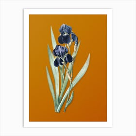 Vintage German Iris Botanical on Sunset Orange n.0521 Art Print