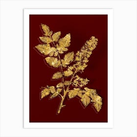 Vintage Golden Rain Tree Botanical in Gold on Red n.0615 Art Print