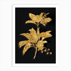 Vintage Greek Strawberry Tree Botanical in Gold on Black n.0404 Art Print