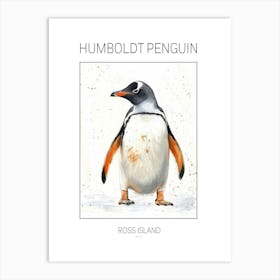 Humboldt Penguin Ross Island Watercolour Painting 4 Poster Art Print