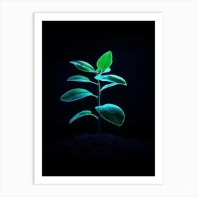 Young Green Plant Art Print