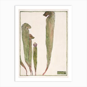 Pitcher Plant (1915), Hannah Borger Overbeck Art Print