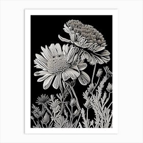 Desert Marigold Wildflower Linocut 1 Art Print
