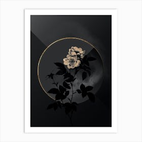 Shadowy Vintage White Anjou Roses Botanical in Black and Gold n.0072 Art Print