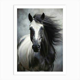 Black And White Horse Art Print