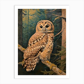 Spotted Owl Relief Illustration 3 Art Print
