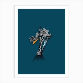 Vintage Crocus Luteus Black and White Gold Leaf Floral Art on Teal Blue n.0080 Art Print