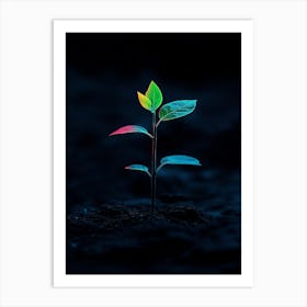 Small Plant Growing In Dark Art Print