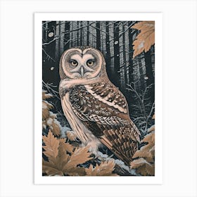 Boreal Owl Relief Illustration 1 Art Print