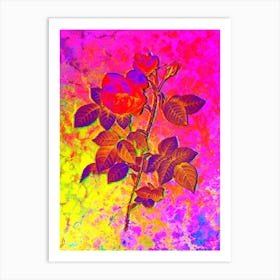 Pink Bourbon Roses Botanical in Acid Neon Pink Green and Blue Art Print