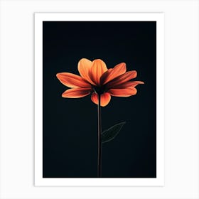 Single Flower On Black Background 2 Art Print