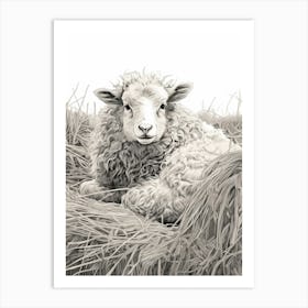 Black & White Illustration Of Highland Sheep In The Straw 2 Art Print