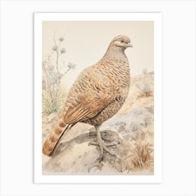Vintage Bird Drawing Grouse 2 Art Print