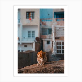 Cat in the surftown of Taghazout, Morocco | Streetphotography Art Print