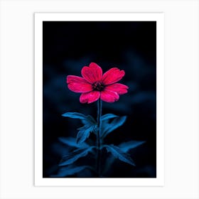 Red Flower 6 Art Print