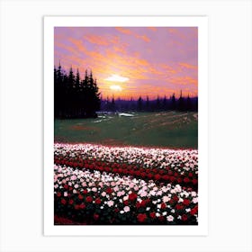 Sunset In A Flower Field Art Print