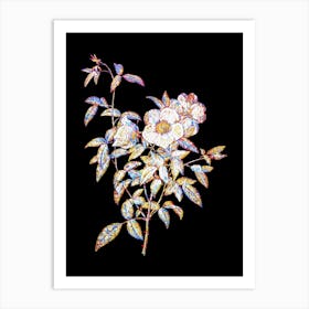 Stained Glass White Rose of Snow Mosaic Botanical Illustration on Black n.0160 Art Print