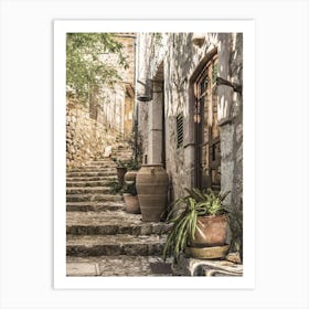 Idyllic view of mediterranean house with potted plant decoration Art Print