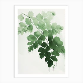 Green Ink Painting Of A Maidenhair Fern 1 Art Print