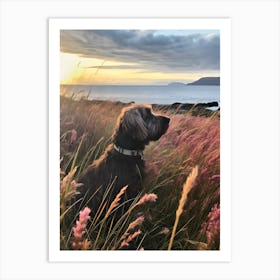 Sunset In Scotland Art Print