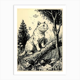 Cat On A Log Art Print