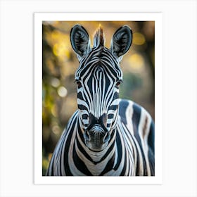 Zebra Art Print