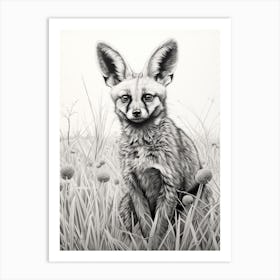 Bat Eared Fox In A Field Pencil Drawing 4 Art Print