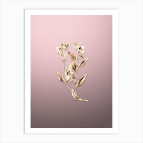 Gold Botanical Long Branched Enothera on Rose Quartz n.2281 Art Print