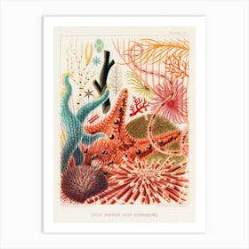 Vintage Great Barrier Reef Art Print