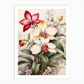 Orchids 9 Art Print