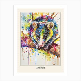Opossum Colourful Watercolour 2 Poster Art Print