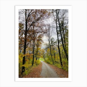 Autumn Road In The Woods 2 Art Print