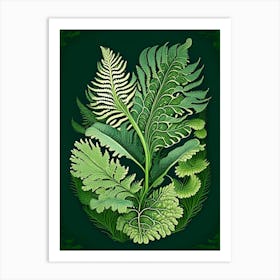 Water Fern Vintage Botanical Poster Art Print