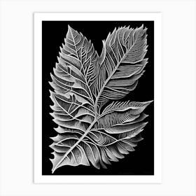Sweet Birch Leaf Linocut 1 Art Print